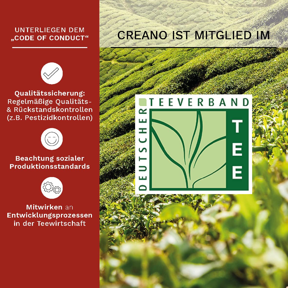 Creano Teeblumen Mix - Geschenkset ErblühTee mit Glaskanne & 6 Teeblumen + 12 Teerosen in Teekiste aus Holz in 6 Sorten - Weißtee