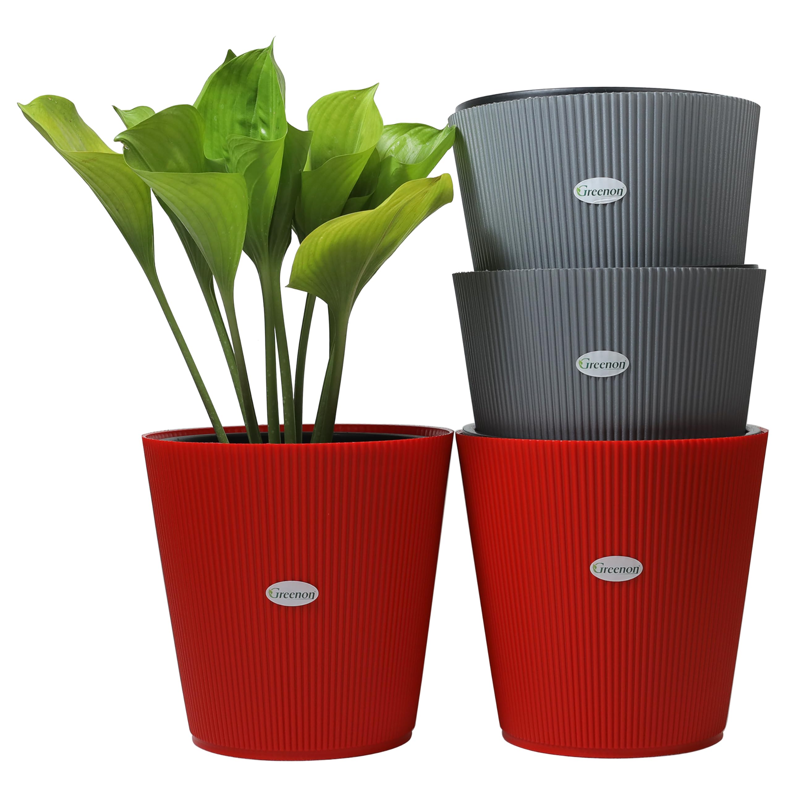 See full amazon price history chart for GREENON Plant Pot 10 Inch Pack of 4 (8 Pots) Self Water | Grey,Red Outer and Black Inner Plant Container | UnFadable Planter | Virgin Plastic Big Gamla | Best for Indoor and Balcony GREENON Plant Pot 10 Inch Pack of 4 (8 Pots) Self Water | Grey,Red Outer and Black Inner Plant Container | UnFadable Planter | Virgin Plastic Big Gamla | Best for Indoor and Balcony (B0CP18RTN8) Amazon Price History, Amazon Price Tracker