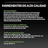Ver la foto 7