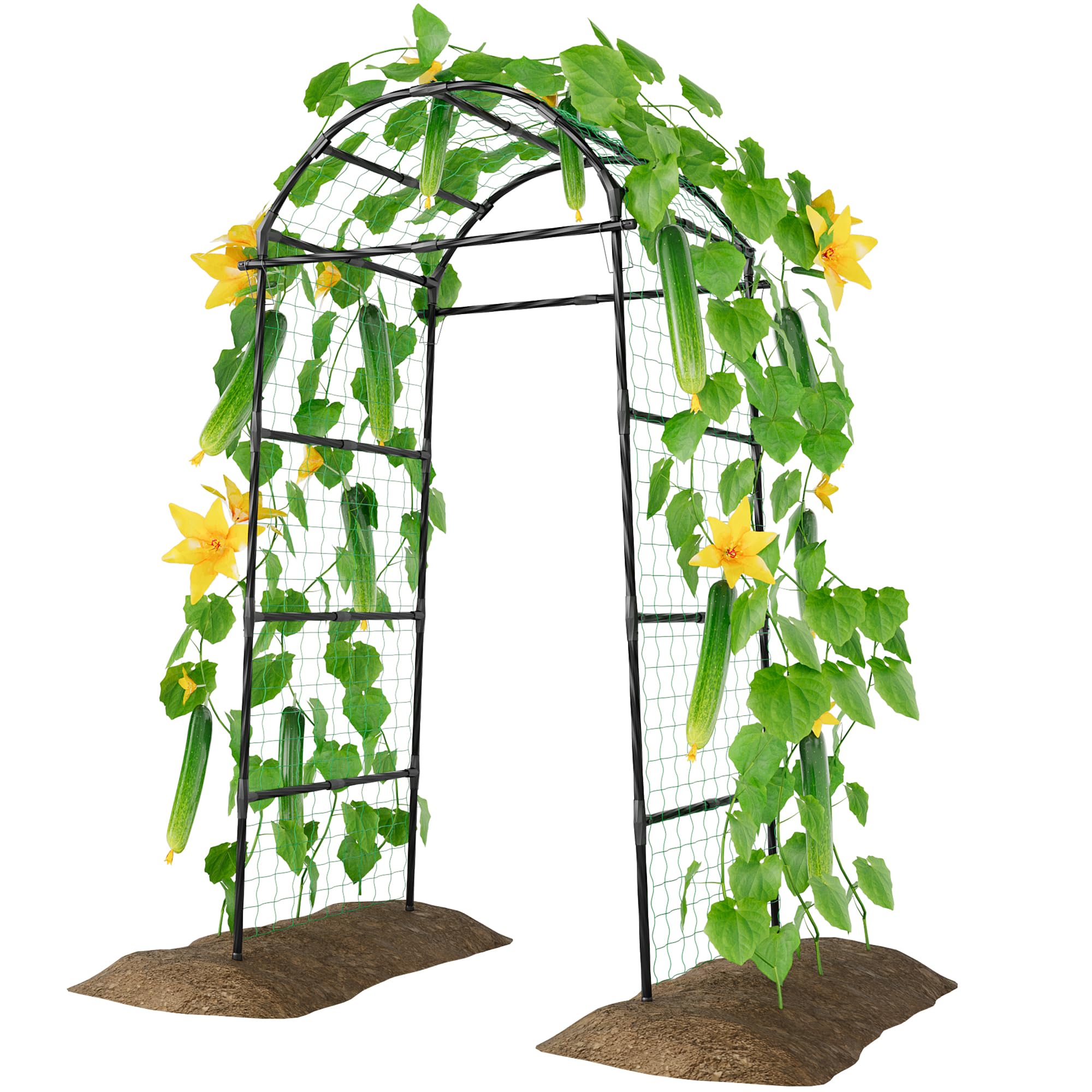 Miory Arch Trellis