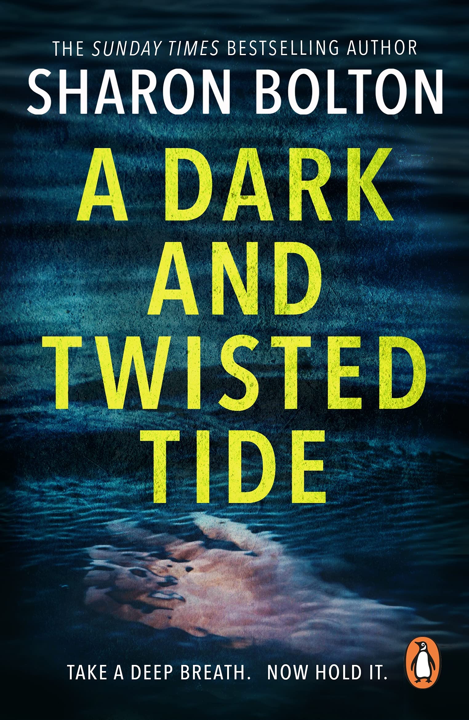 A Dark and Twisted Tide: (Lacey Flint: 4): Richard & Judy bestseller Sharon Bolton exposes a darker side to London in this shocking thriller
