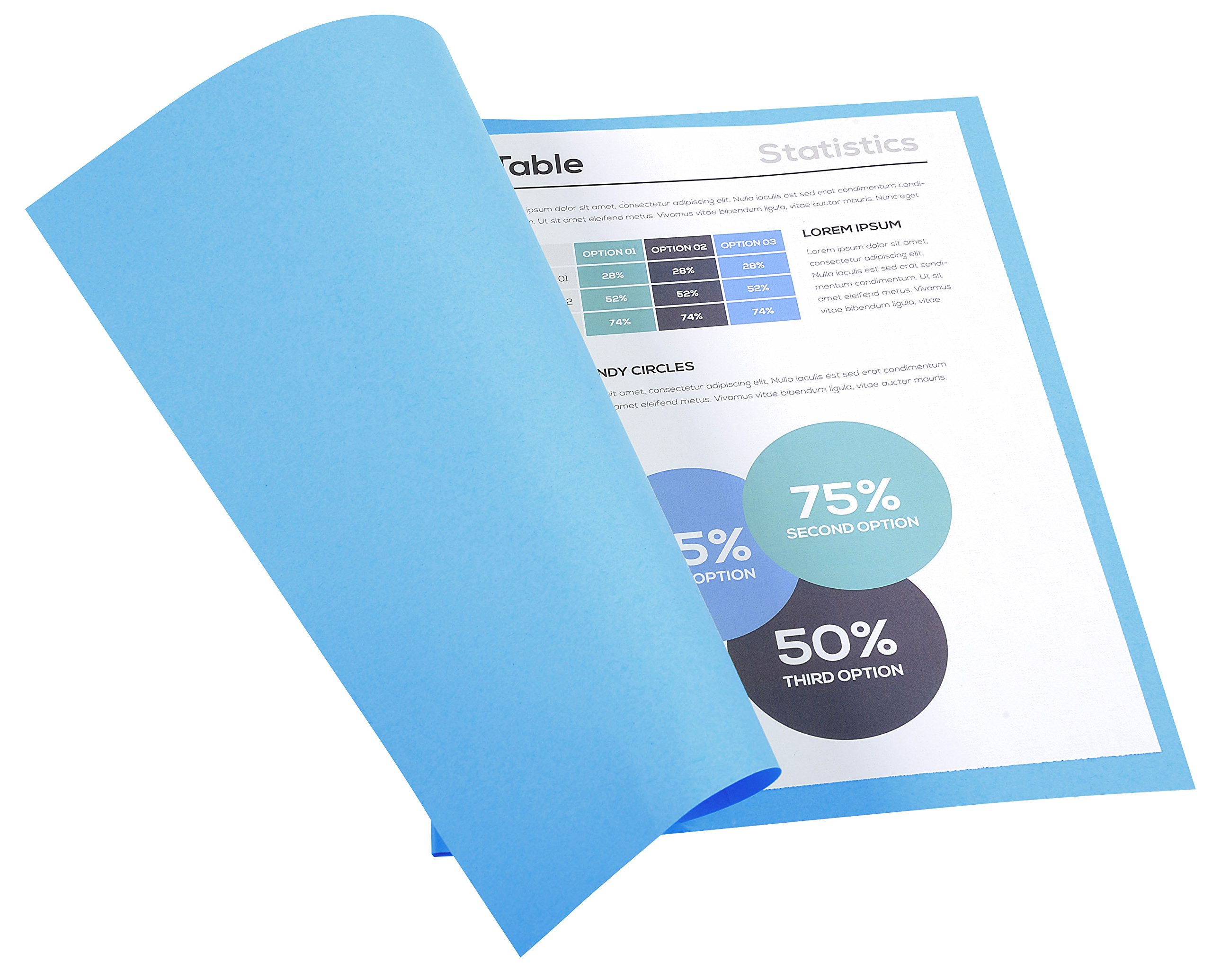 Exacompta 420010E - Lote de 100 Subcarpetas Forever® 180, Color Azul