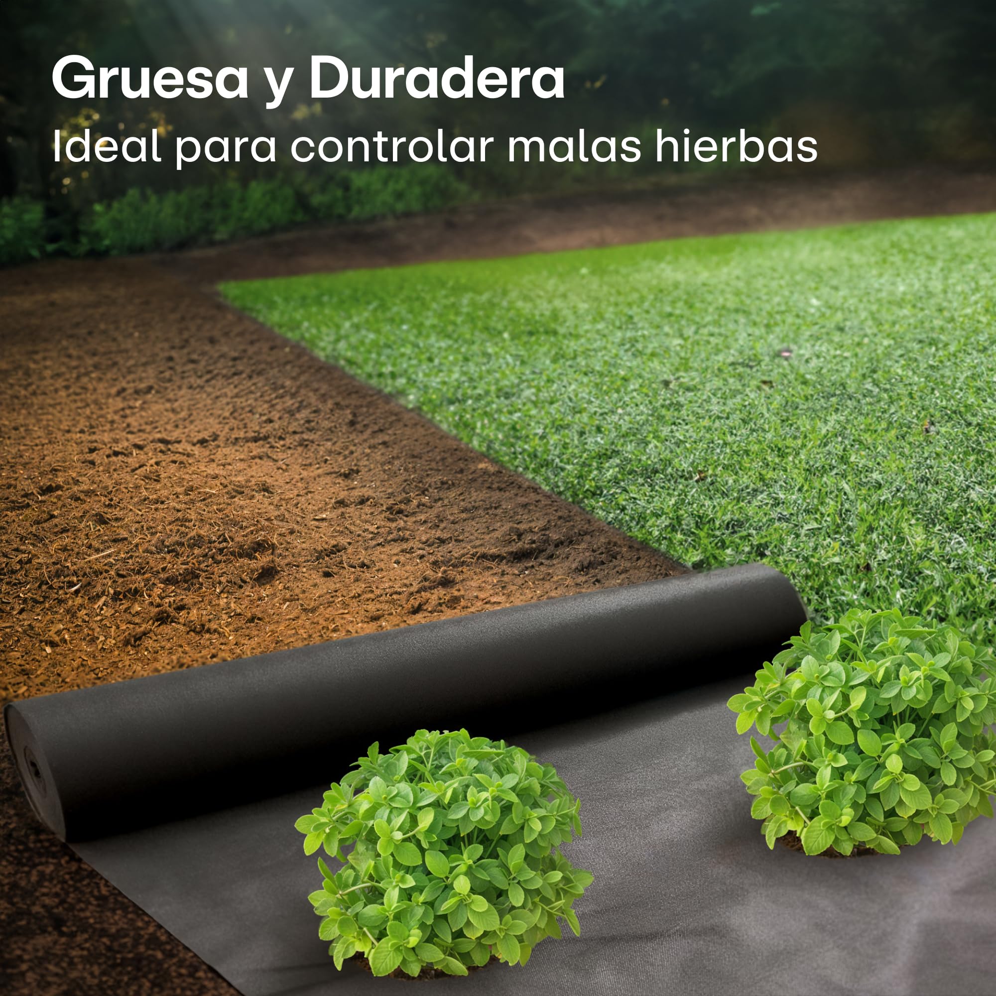 Praknu Malla Antihierbas Huerto - Tela 100g/m2-50m2 en Rollo - con 24 Grapas de Sujeción - Permeable & Resistente - Estable Ante UV - para Jardin - Negro