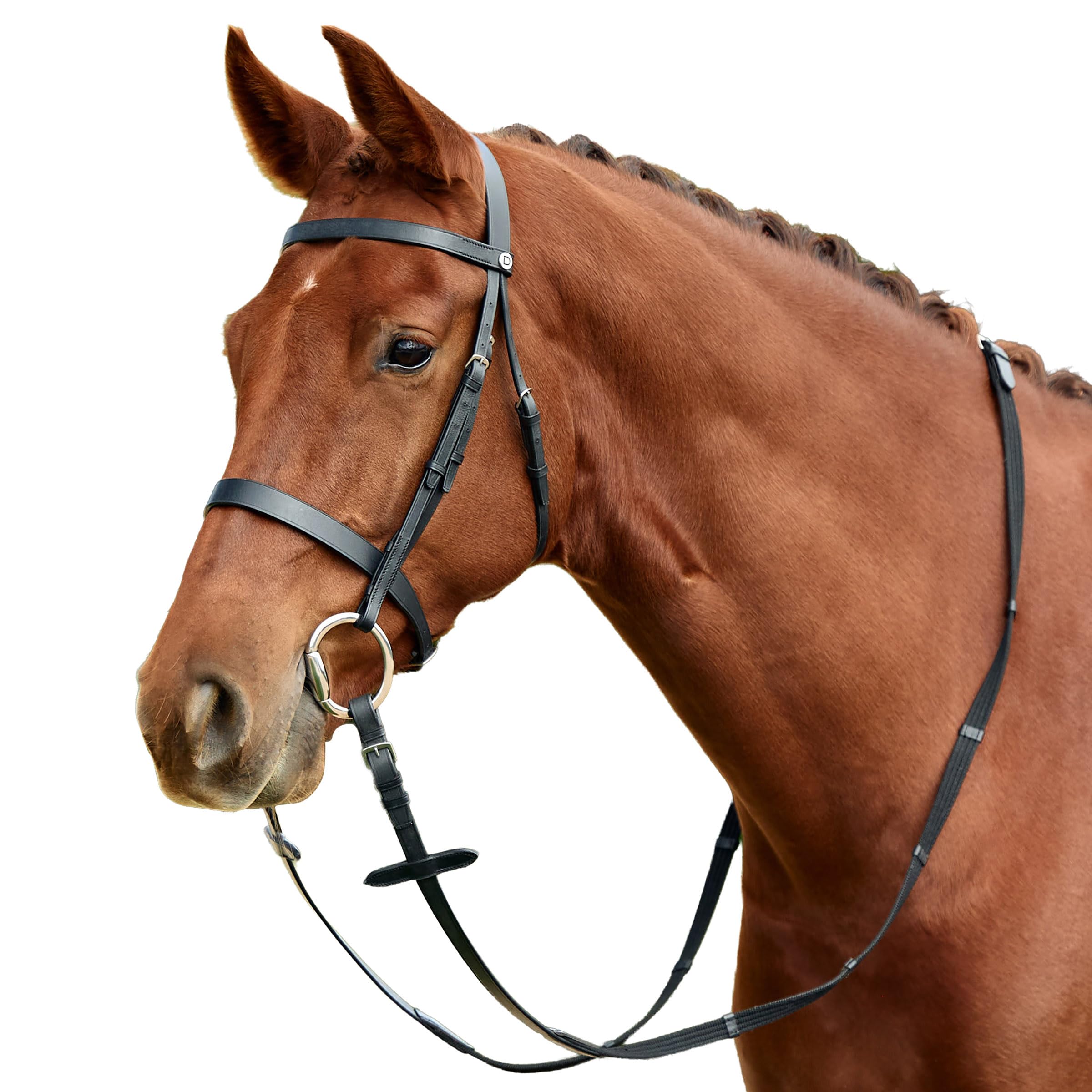 Dublin Flat Cavesson Bridle, Black, Pony
