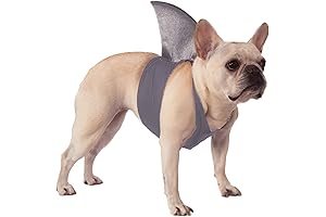 Shark Fin Dog Costume: Unleash the Underwater Predator in Your Pup