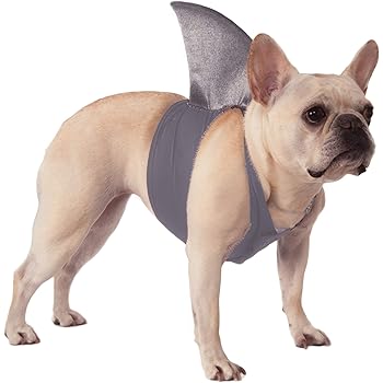 baby shark dog costume