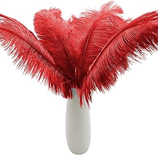 10pcs Large Red Ostrich Feathers 16-18 inch Fluffy Feather for Crafts Home Party Decoration Wedding Centerpieces Clothes Vase Decor