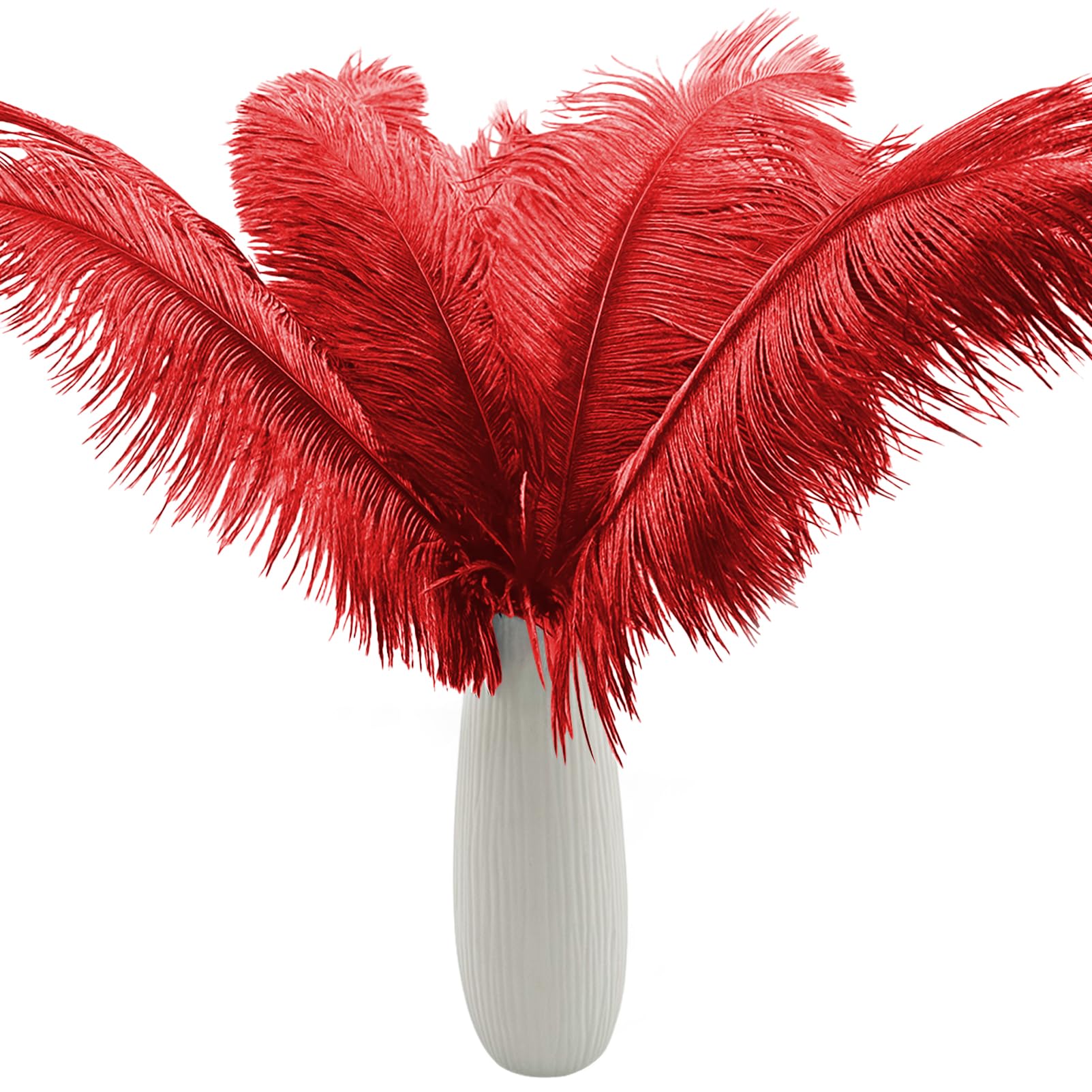 Plumes d'autruche rouges volumineuses pour sublimer vos vases vides