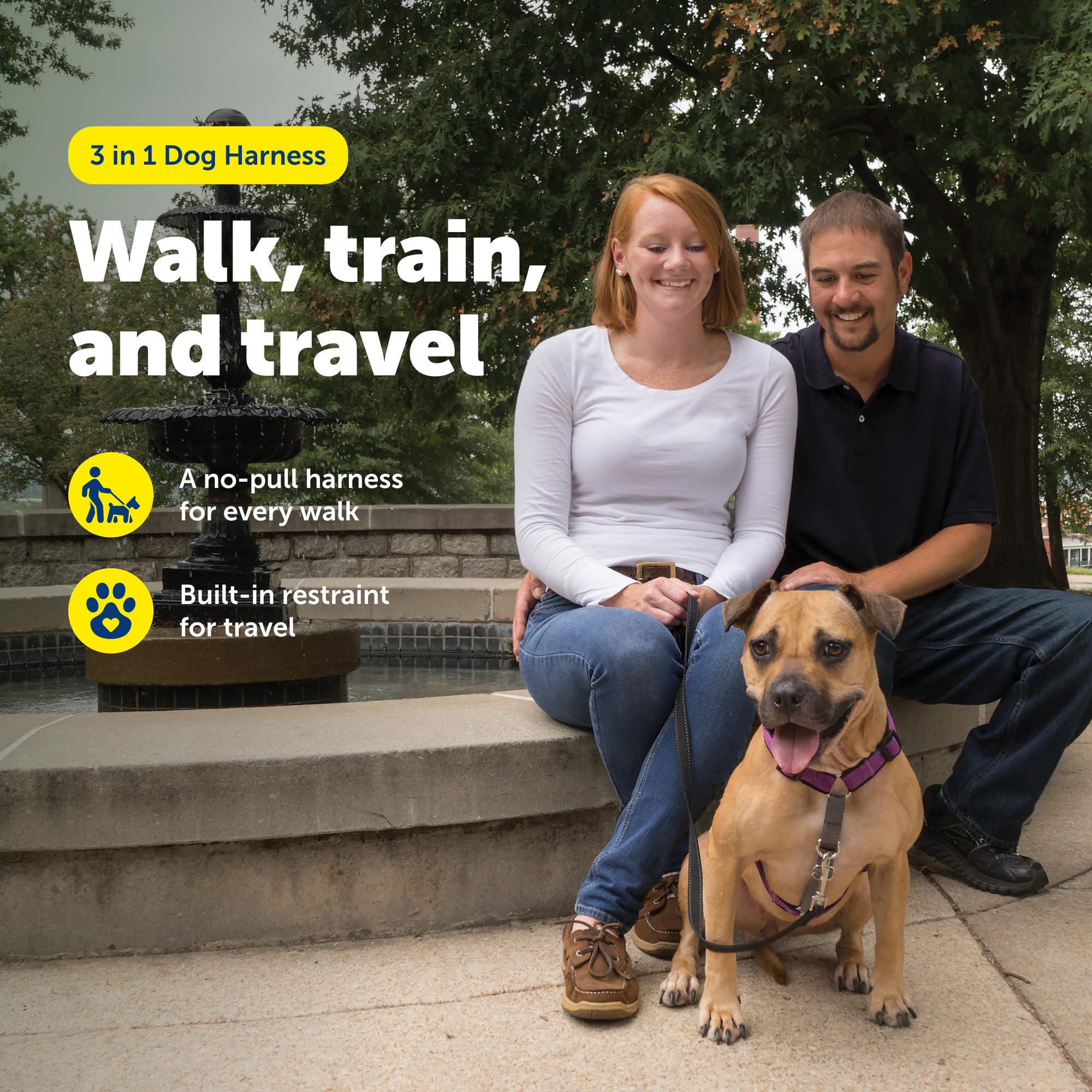 PetSafe Uprząż 3 w 1 i urządzenie przytrzymujące samochód, średnie, śliwkowe, bez ciągnięcia, regulowane, trening dla małych/średnich/dużych psów