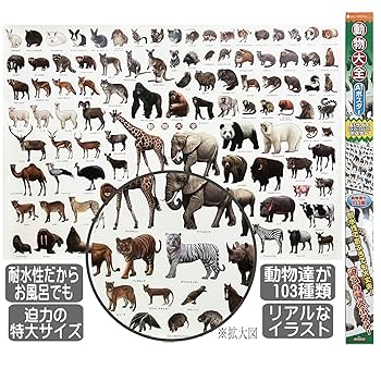 Amazon.co.jp: 動物 ポスター 特大サイズ 動物大全 お風呂