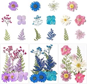Celblisora 40 Pièces De 8 Variétés De Fleurs Naturelles