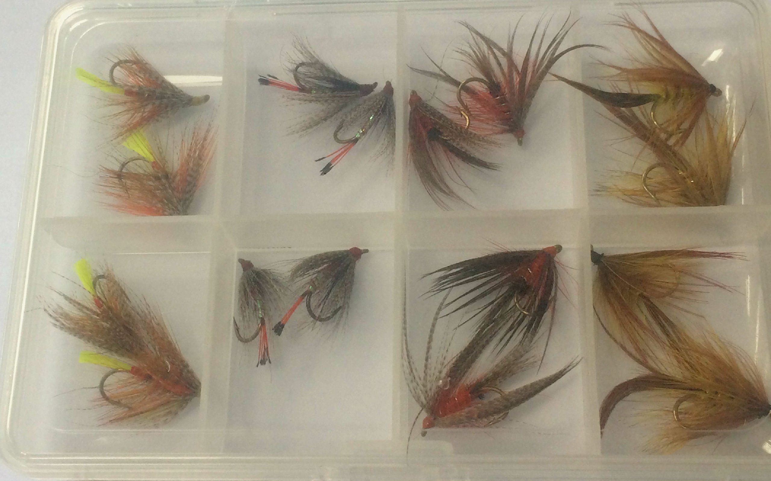 Irish Wet mouches mouches 16 pièces en coffret Fly Tailles 10–14 Excellente Qualité truite mouches