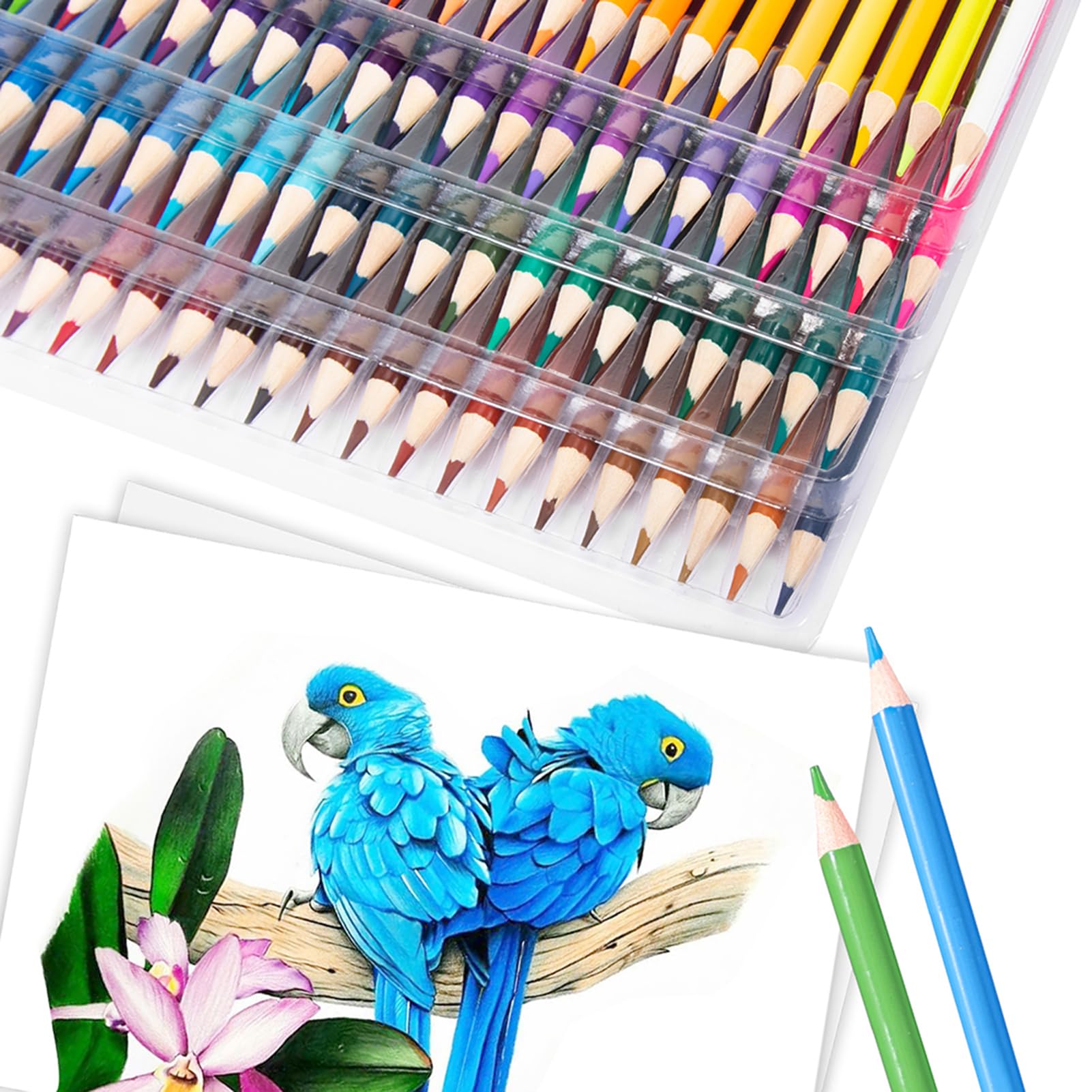 72 crayons de couleur pré-aiguisés, fournitures d'art pour croquis, gras avec étui de rangement (120 couleurs)