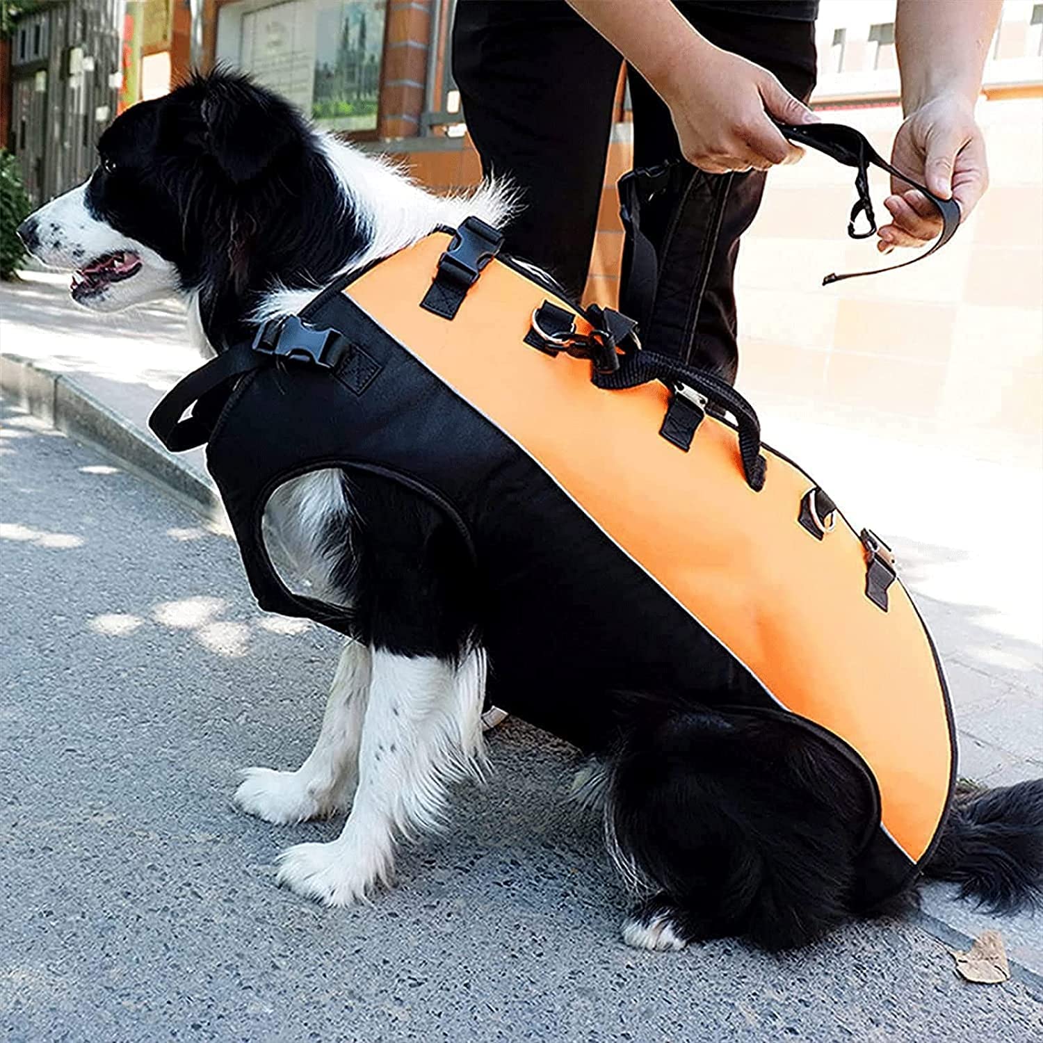 Transport Brancard Voor Honden en Huisdieren, Opvouwbare Draagbare Zachte Brancard met Veiligheidsriem Transport Brancard Voor Honden en Huisdieren, Opvouwbare Draagbare Zachte Brancard met Veiligheidsriem