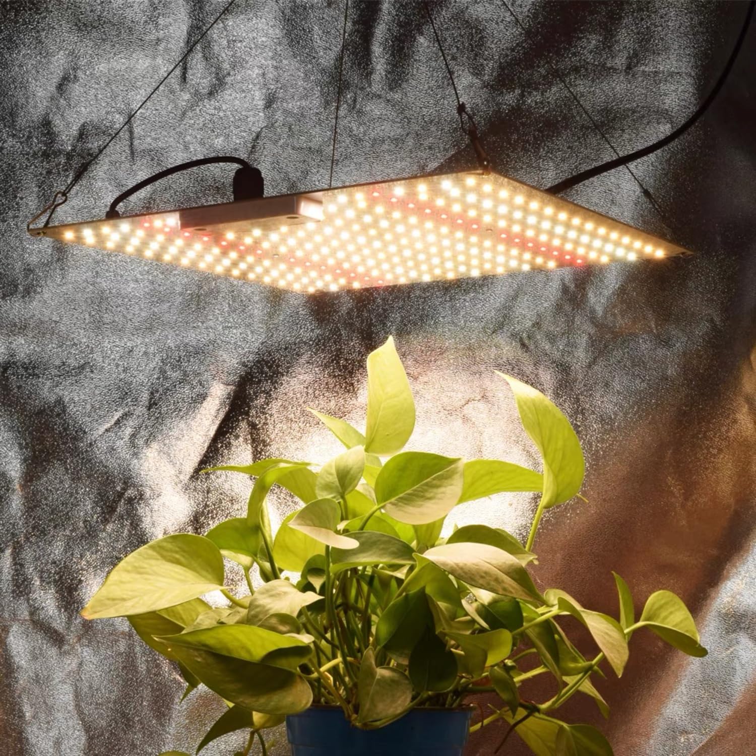 Luci per piante da interno Lampada for crescita a LED Grow Light Board Phytolamp a spettro completo for interni