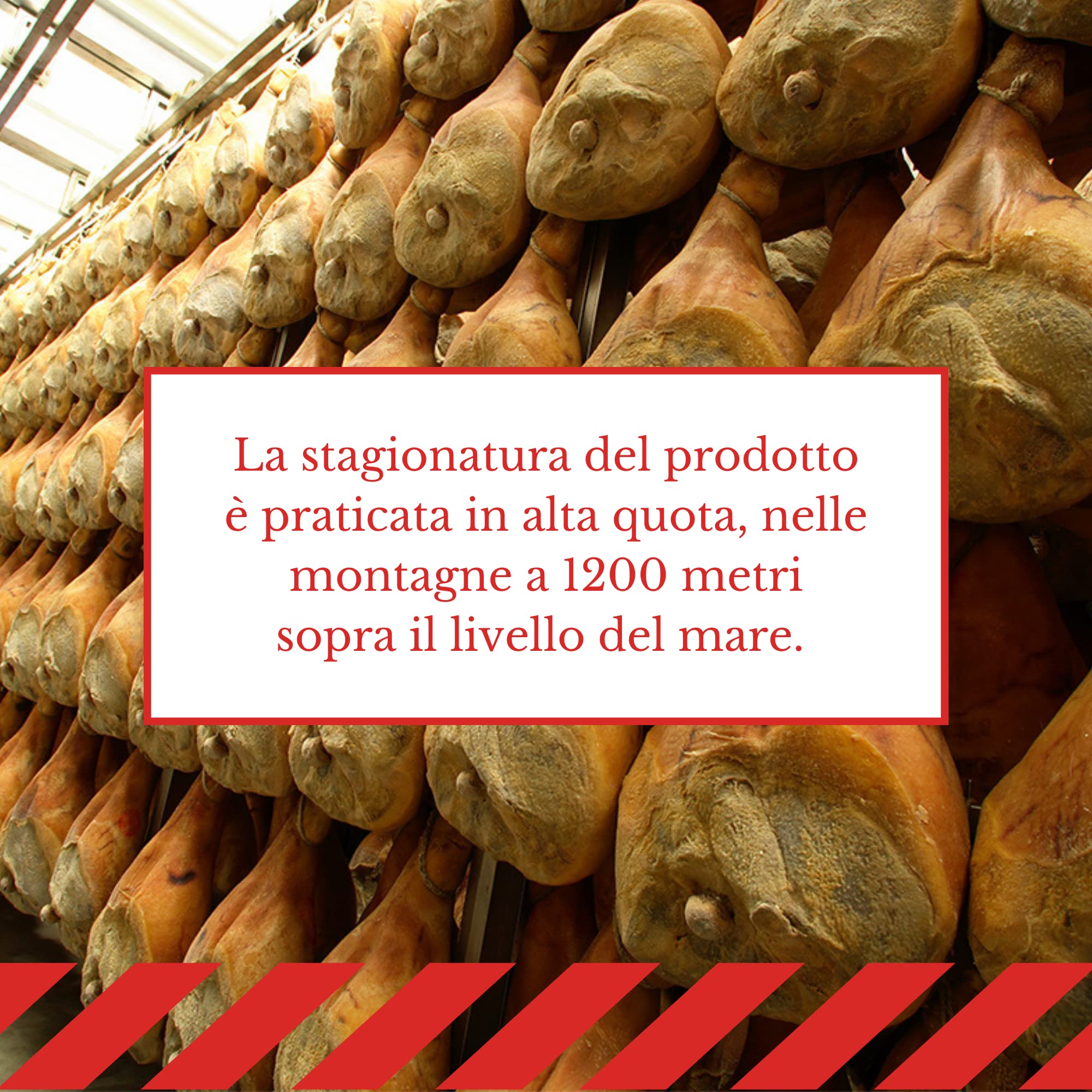 Wolf, Prosciutto di Sauris IGP, Trancio, Prodotto con Tradizionale Tecnica di Affumicatura, Carne 100% Italiana, Leggera Stagionatura, Senza Glutine, 1,5 kg (min. netto garantito)