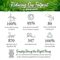 Vista 3 de Bigelow Botanicals bolsas de té para infusión en agua fría