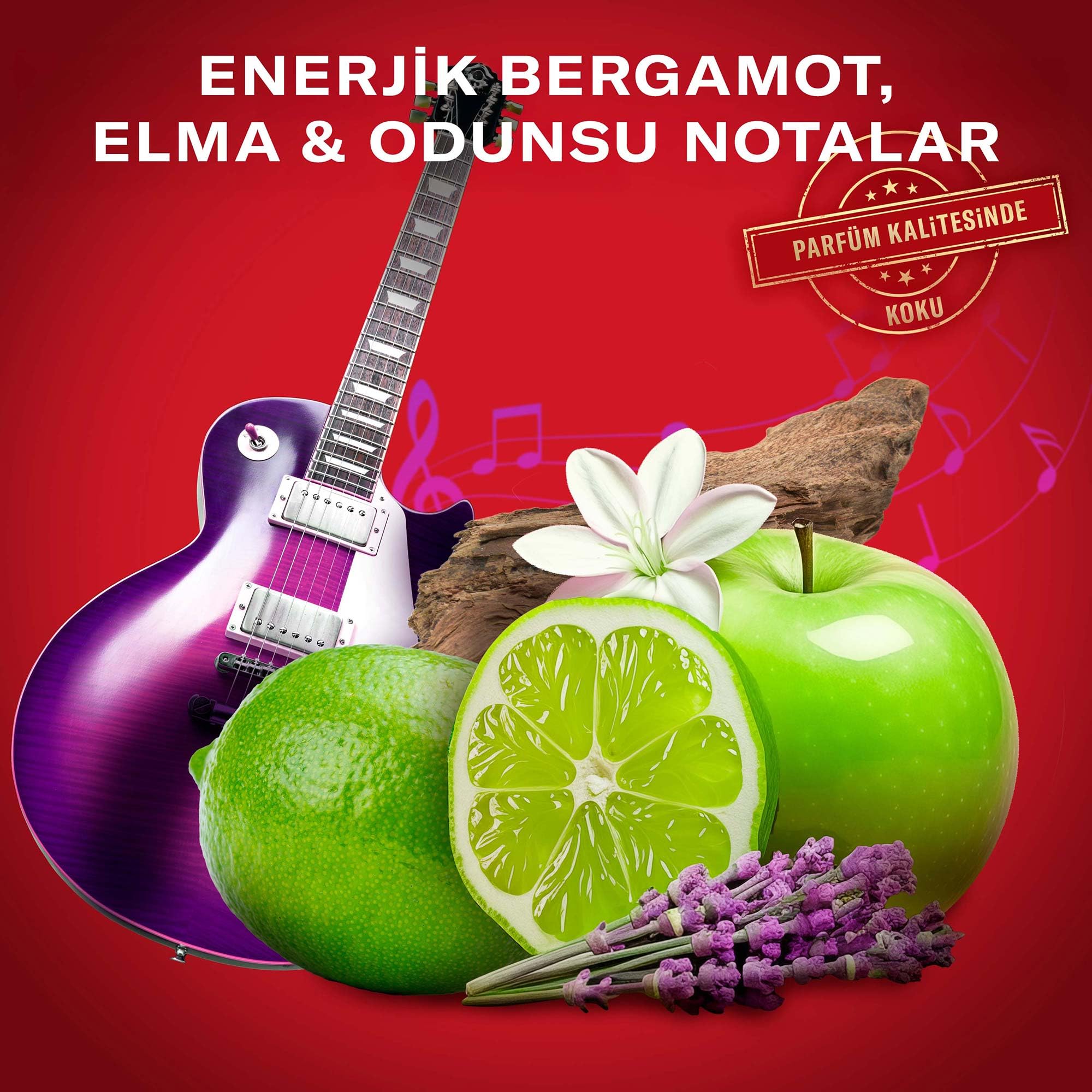 Old Spice Rockstar Erkek Deodorant Stick 50 ml 3lü paket
