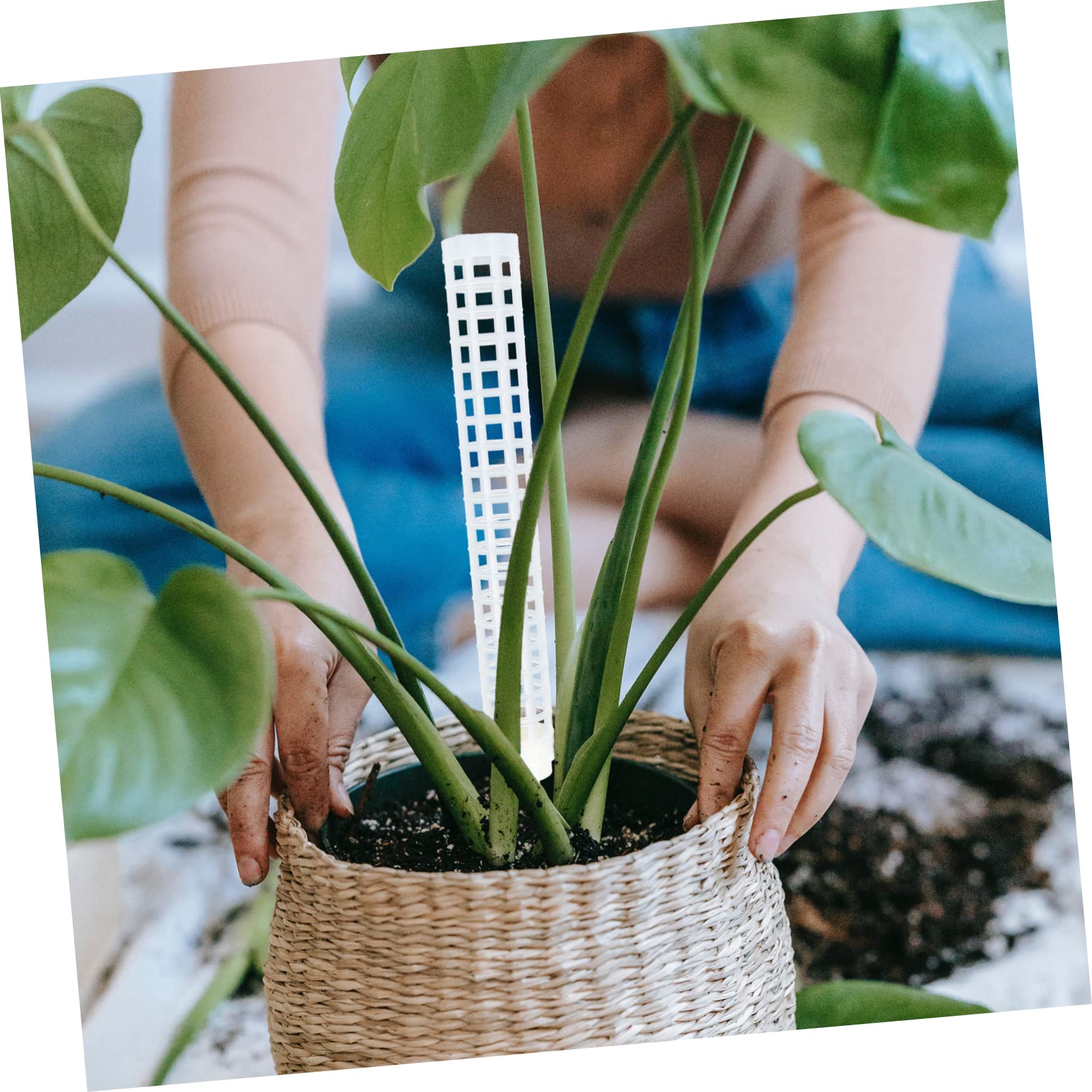 Kisangel 4 Ensembles Colonne De Sphaigne Mousse De Sphaigne pour Les Plantes Grand Poteau De Mousse Jardinage Outillage Treillis Jardin Colonne De Mousse d'eau Support De Fleur 4 Pièces * 4