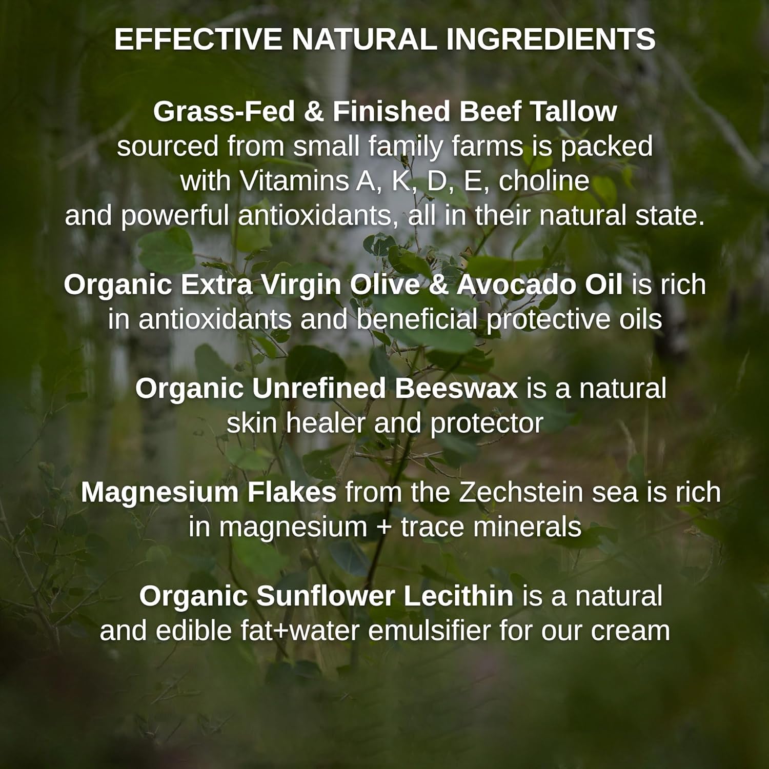 Shwally Paleo Magnesium Oil Cream - A True Seed-Oil Free & Primal Mag Balm - 100% Grass Fed Tallow, Avocado, Extra Virgin Olive Oil + Methylene Blue Option (With Methylene Blue Added)