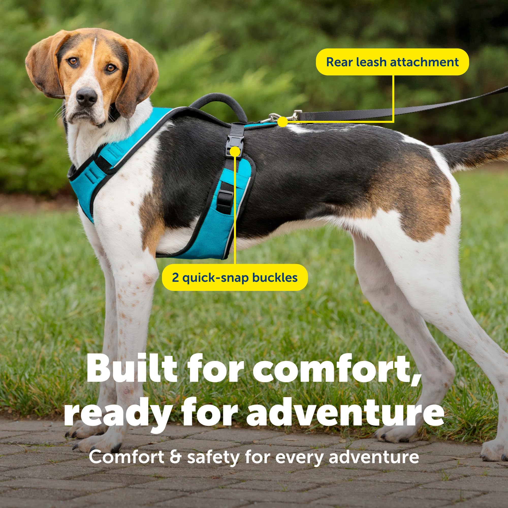 PetSafe EasySport - Arnés con correas acolchadas, totalmente ajustable, cuello elástico, ideal para perros atléticos, asa superior para control rápido, talla grande, verde azulado