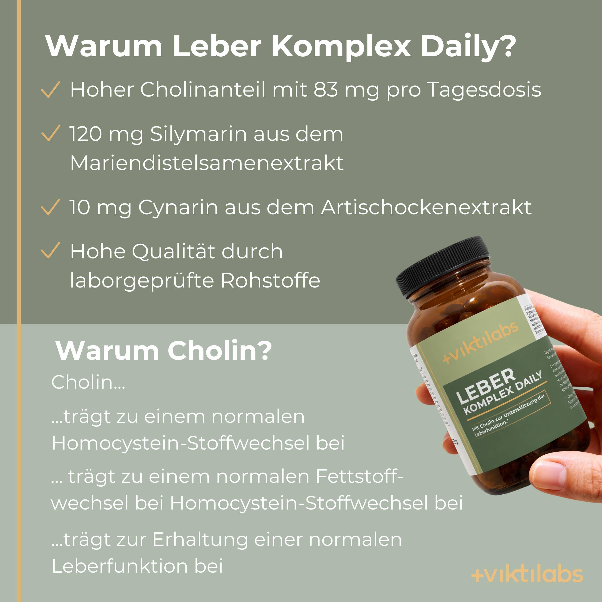 Leber Komplex Daily - 90 Kapseln | Mit Mariendistel, Artischocke, Löwenzahn, Cholin | Laborgeprüft | Ohne Zusätze & Vegan | Mariendistel Kapsel hochdosiert