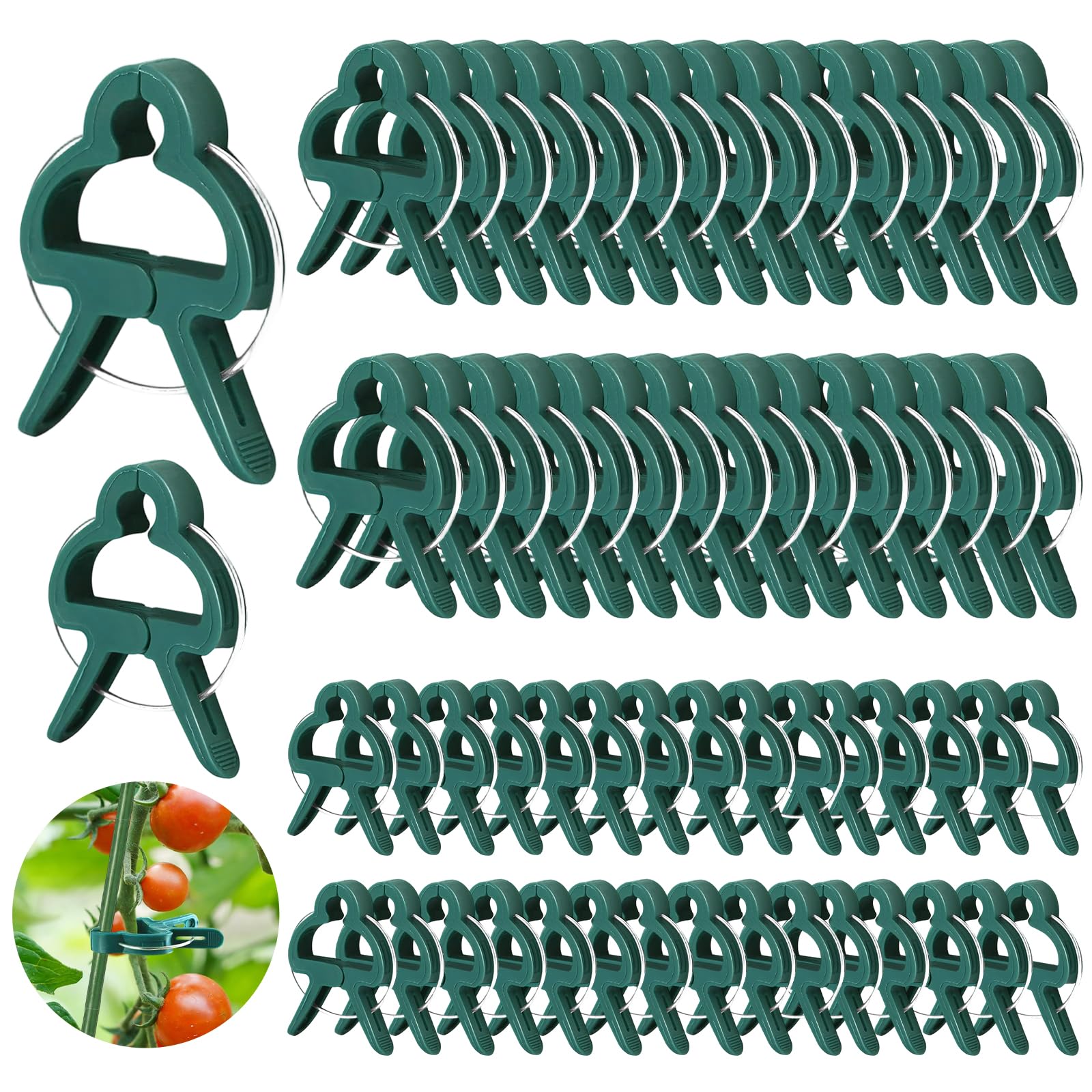 Attache Plante, Pince Attache Tomate, Clip de Support pour Plante, Clips Plantes Grimpantes, Attaches Tomates Clips Réutilisable pour Fixer et Soutenir Plantes, Légumes, Fleurs et Fruits (60PCS)