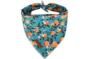 Summer Dog Bandana: Relaxing Bandana for Comfort and Style