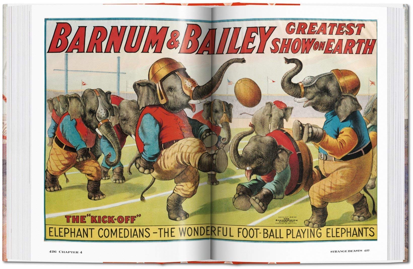 The Circus. 1870s–1950s (Bibliotheca Universalis)