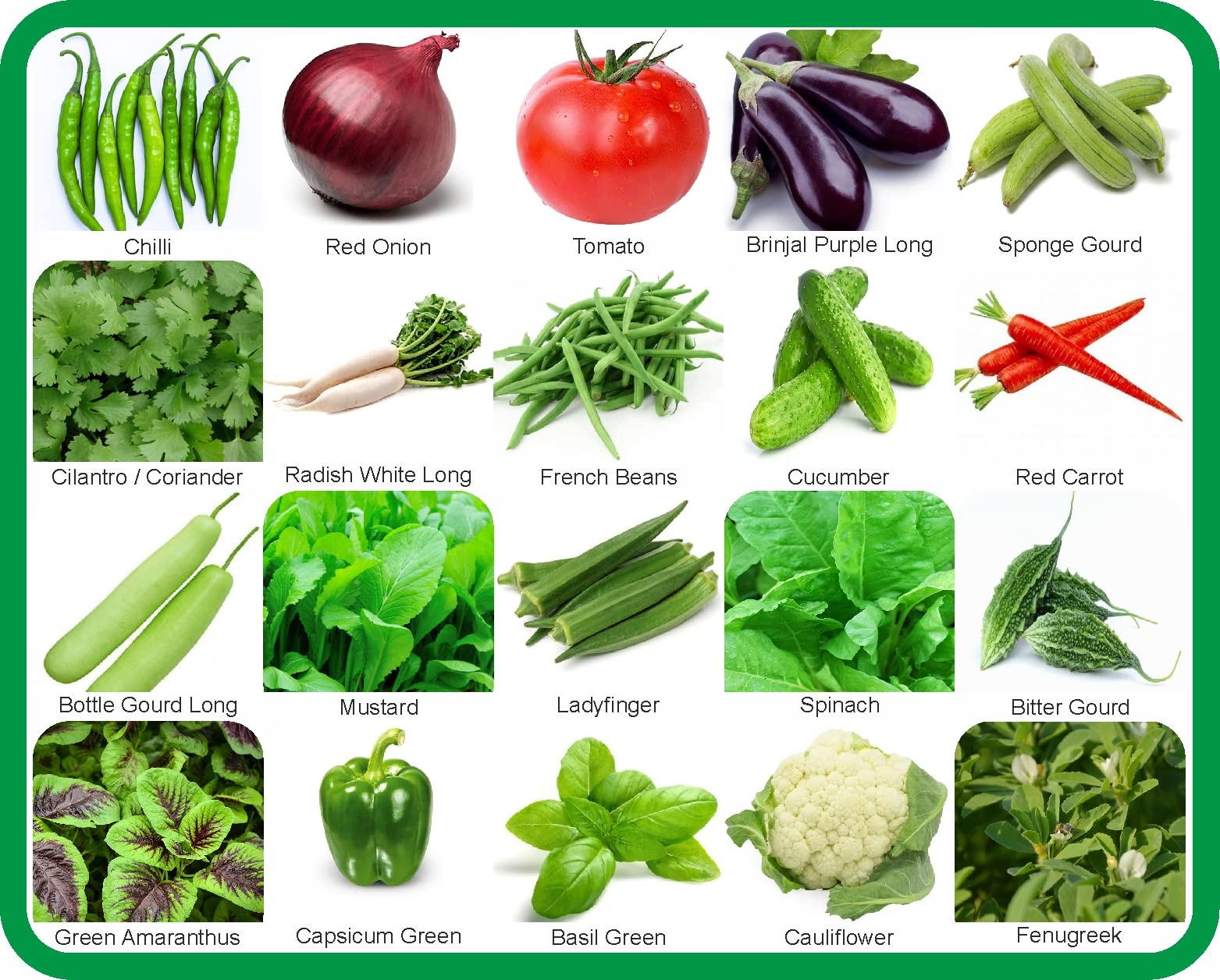 Agnico 20 Variety Of Vegetable Seeds Combo Pack With Instruction Manual. (B0BHDWN86H) Amazon Price History, Amazon Price Tracker