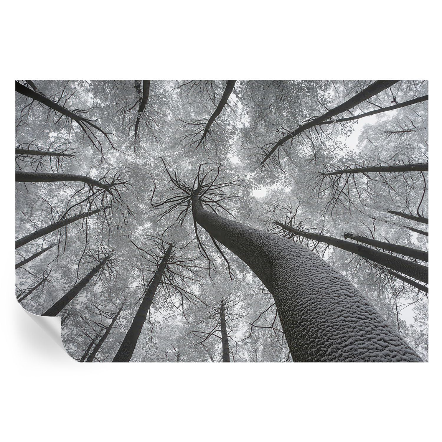 Adornos de pared con paisaje invernal en vinilo 152x104 cm para un hogar acogedor