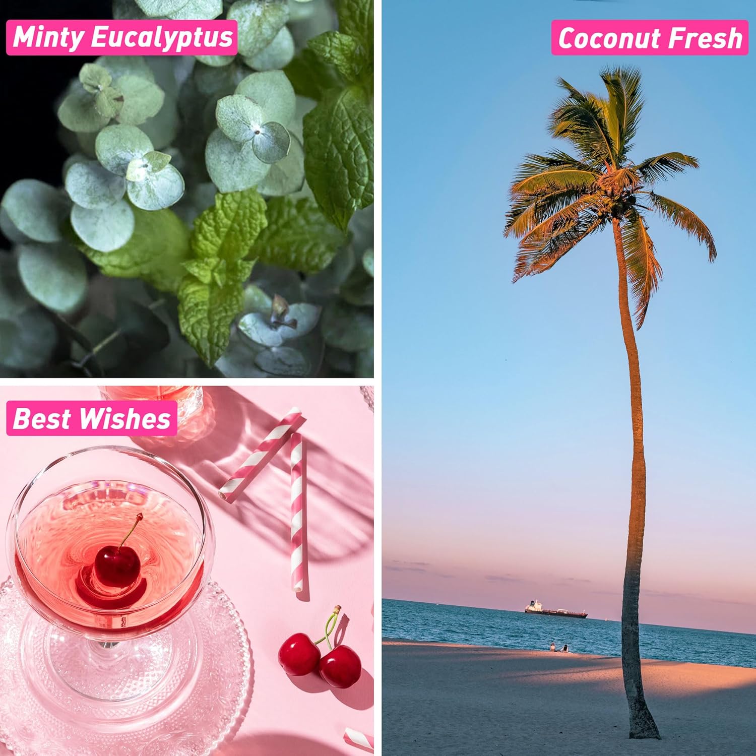 Fragrance Oils, ESSLUX Bath & Body Scented Essential Oils for Diffusers for Home, Premium Soap Candle Making Scents, Aromatherapy Oils Gift Set,10ml*6 - Coconut Fresh, Minty Eucalyptus, and More - Image 2