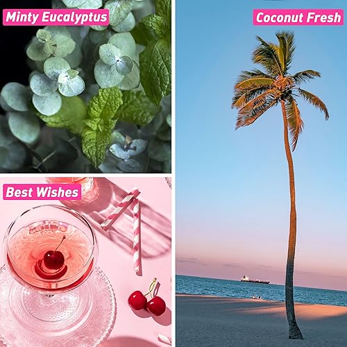 Miniatura 9 de ESSLUX - Aceites aromáticos de primavera, aceites perfumados prémium para difusor del hogar, aromas para hacer velas de jabón, juego de regalo de