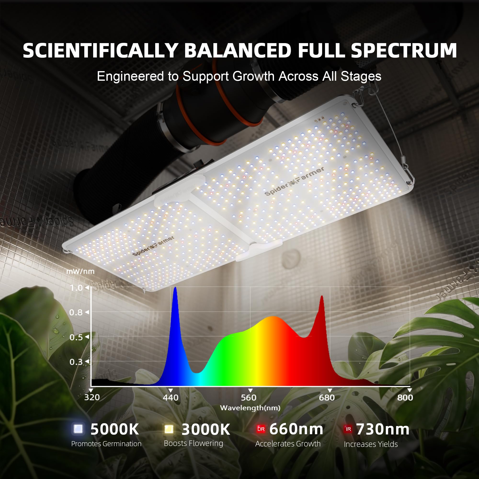 Amazon.com.br: Spider Farmer: Grow Lights