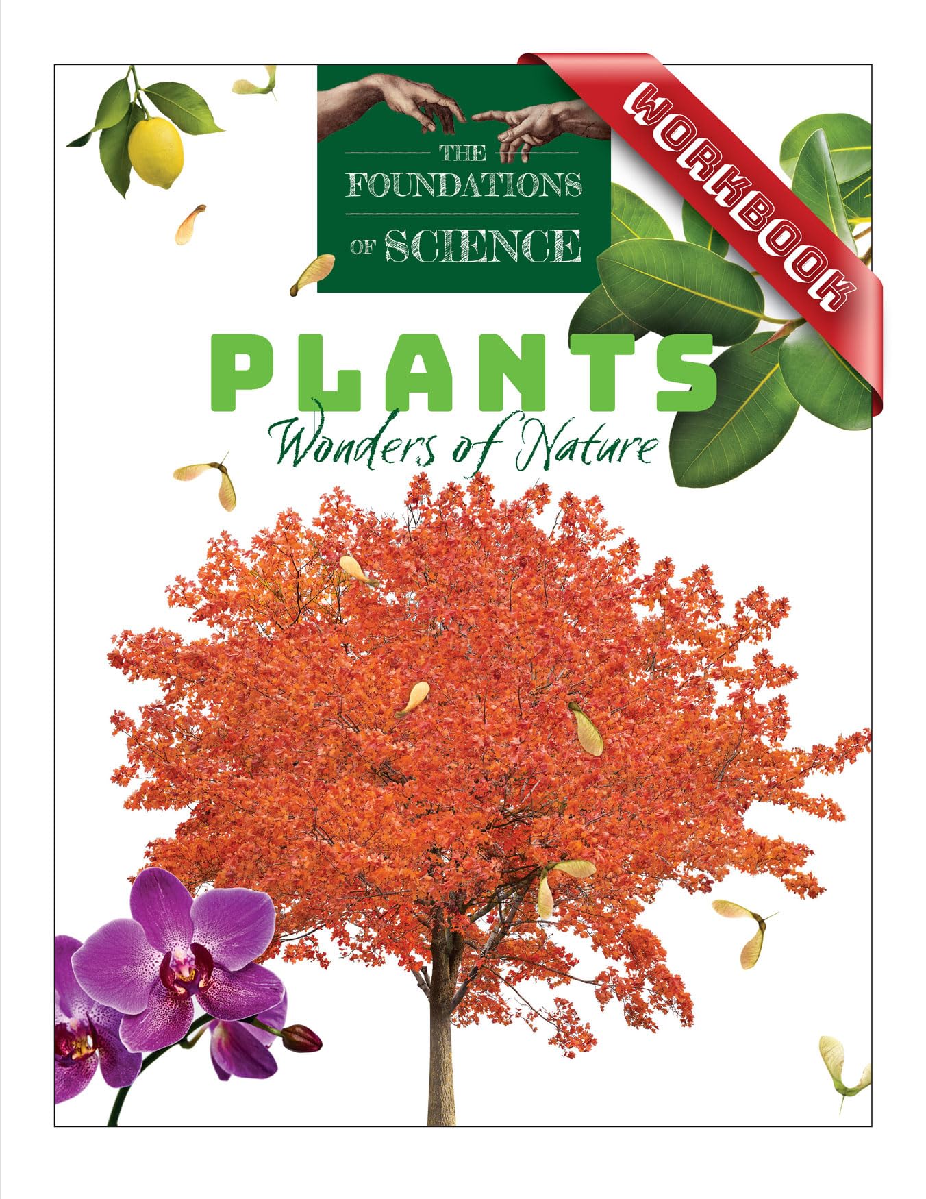 Plants: Wonders of Nature Workbook (The Foundations of Science)
