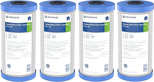 Pentair Pentek EPM-BB - Filtro de agua de carbono azul grande, 10 pulgadas, cartucho de repuesto de bloque de carbono Epsilon modificado para toda