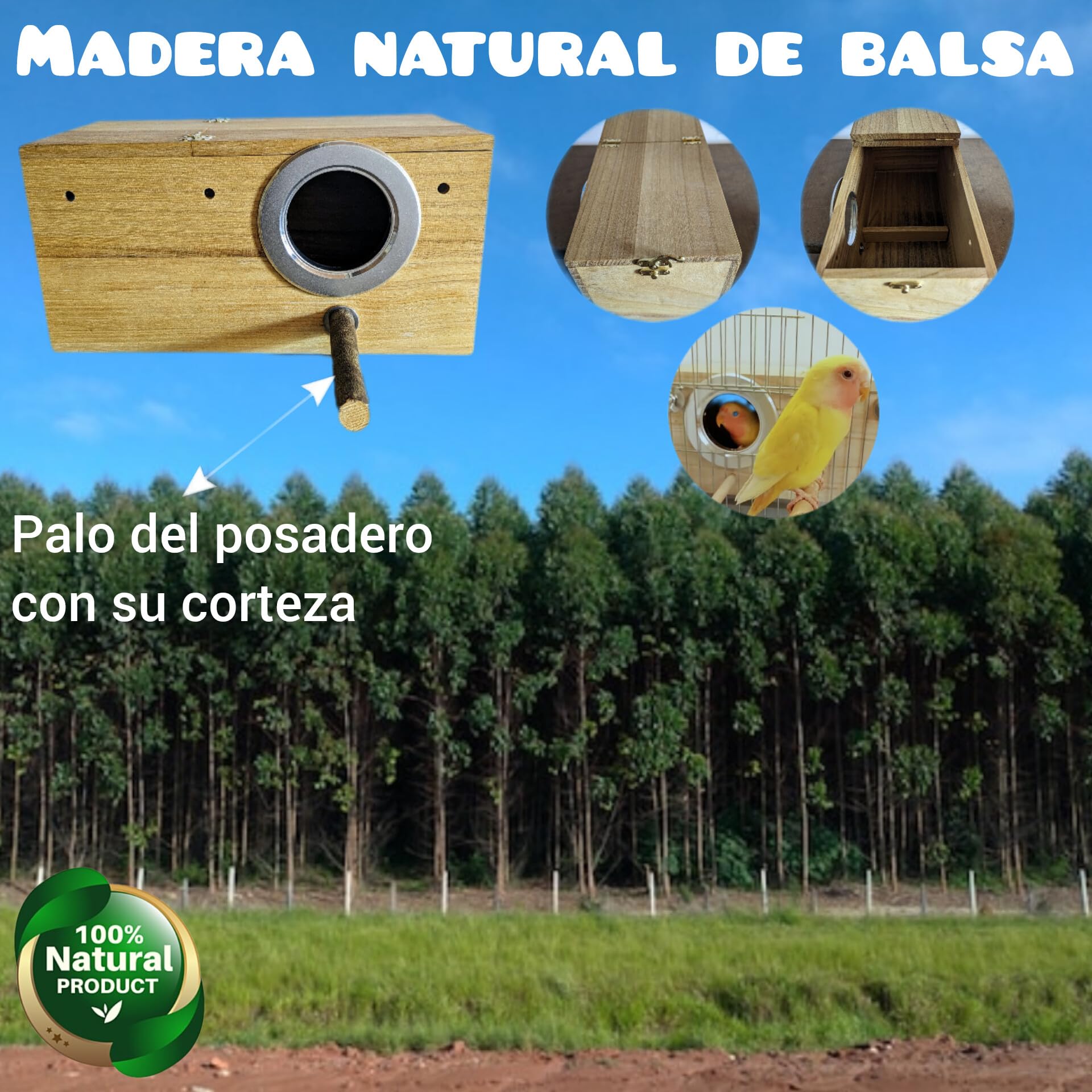 Nido para loro caique, pyrrhuras, caja de cría aves ninfa, casa para jaulas de pájaros canarios, mandarines, refugio conures con percha natural, cama aviario agaporni, loris. (M, + Fibra de coco)