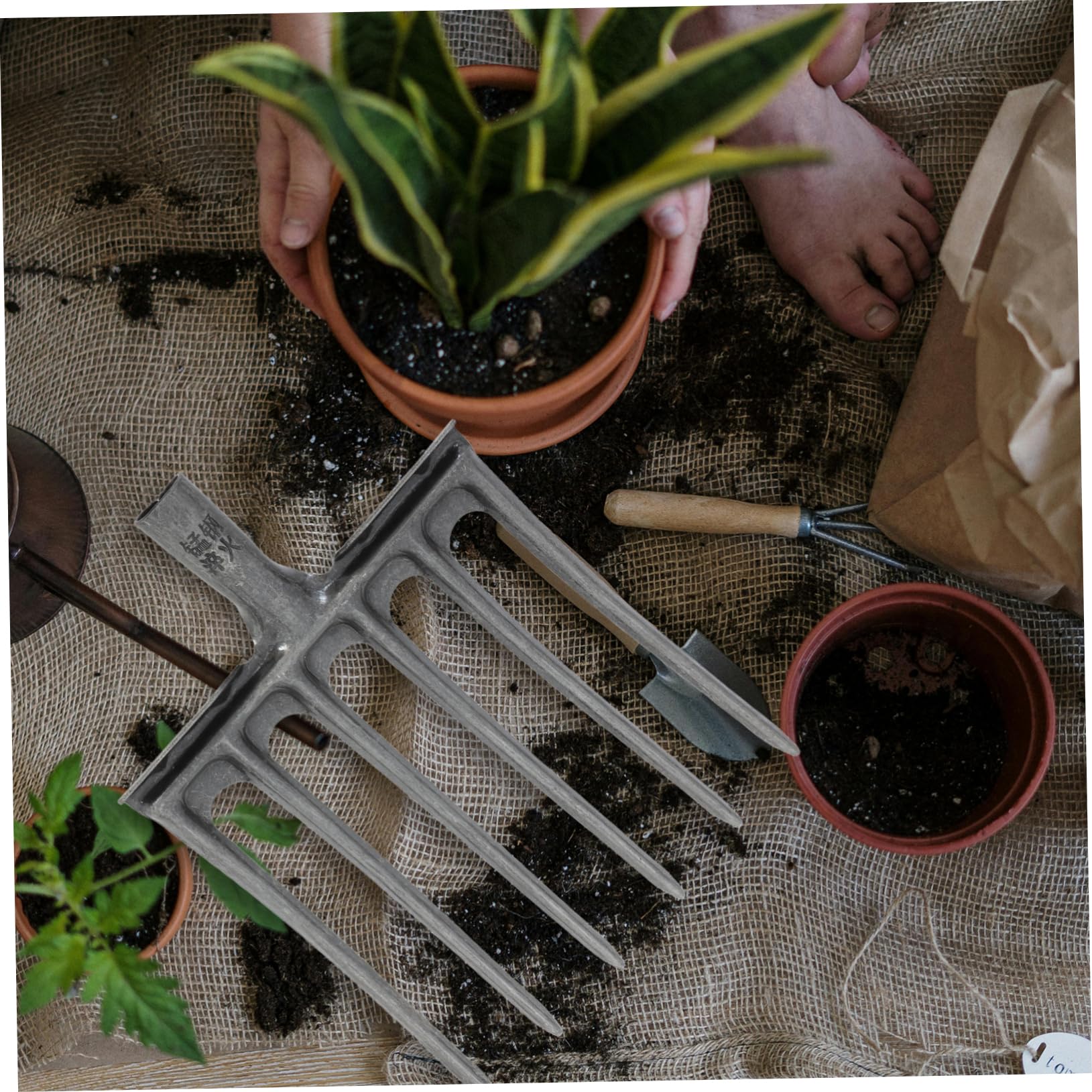 BESPORTBLE Testa Di Rastrello Agricolo in Acciaio a Cinque e Sei Denti, Sostituzione Per Aratura Profonda, Aerazione Del Terreno e Raccolta Di Foraggio e Frutta, Facile Installazione Con Mani