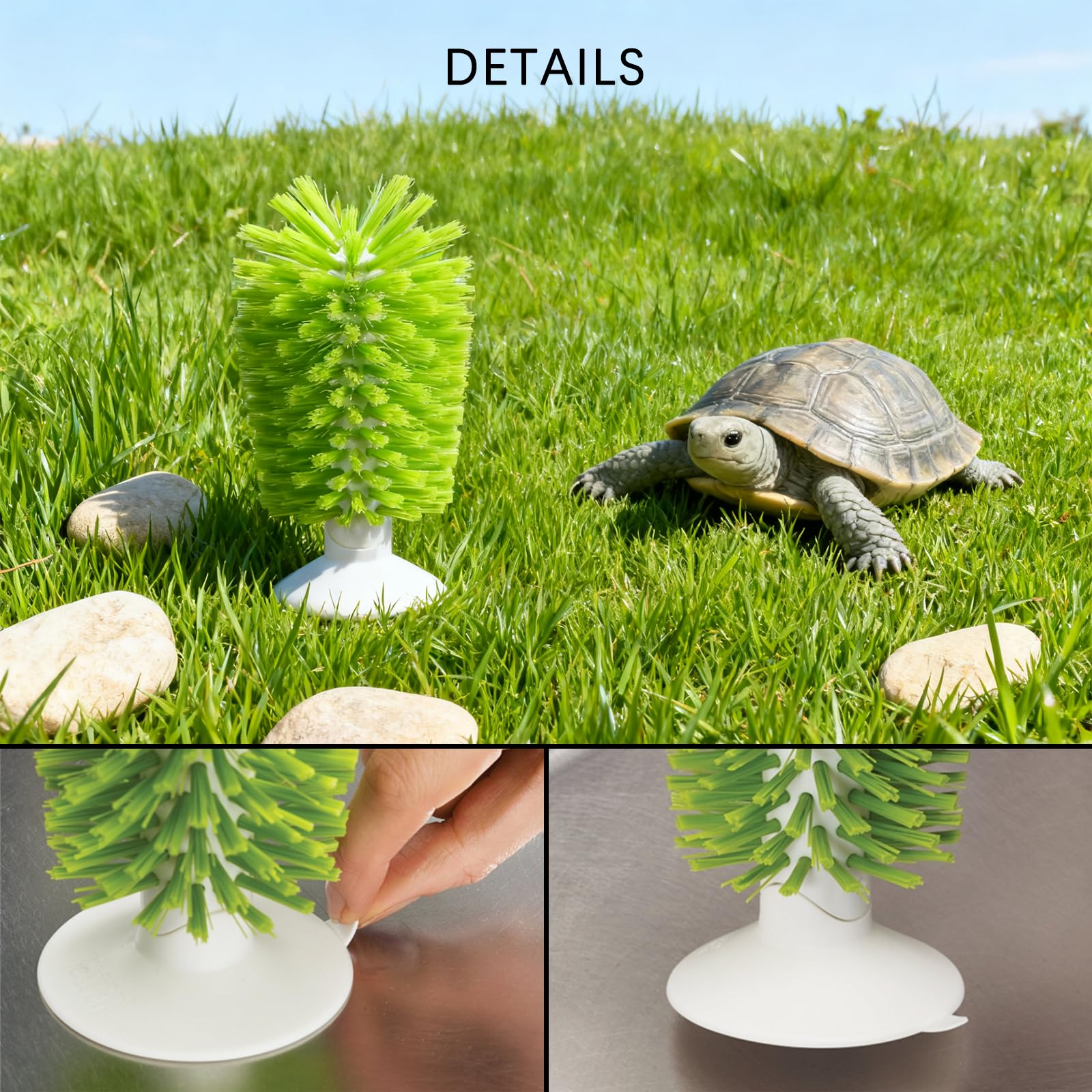 Brosse de nettoyage en forme de coquille de tortue verte avec ventouse, outils de cuisine pour la maison, brosse exfoliante pour tortue accessoires de réservoir