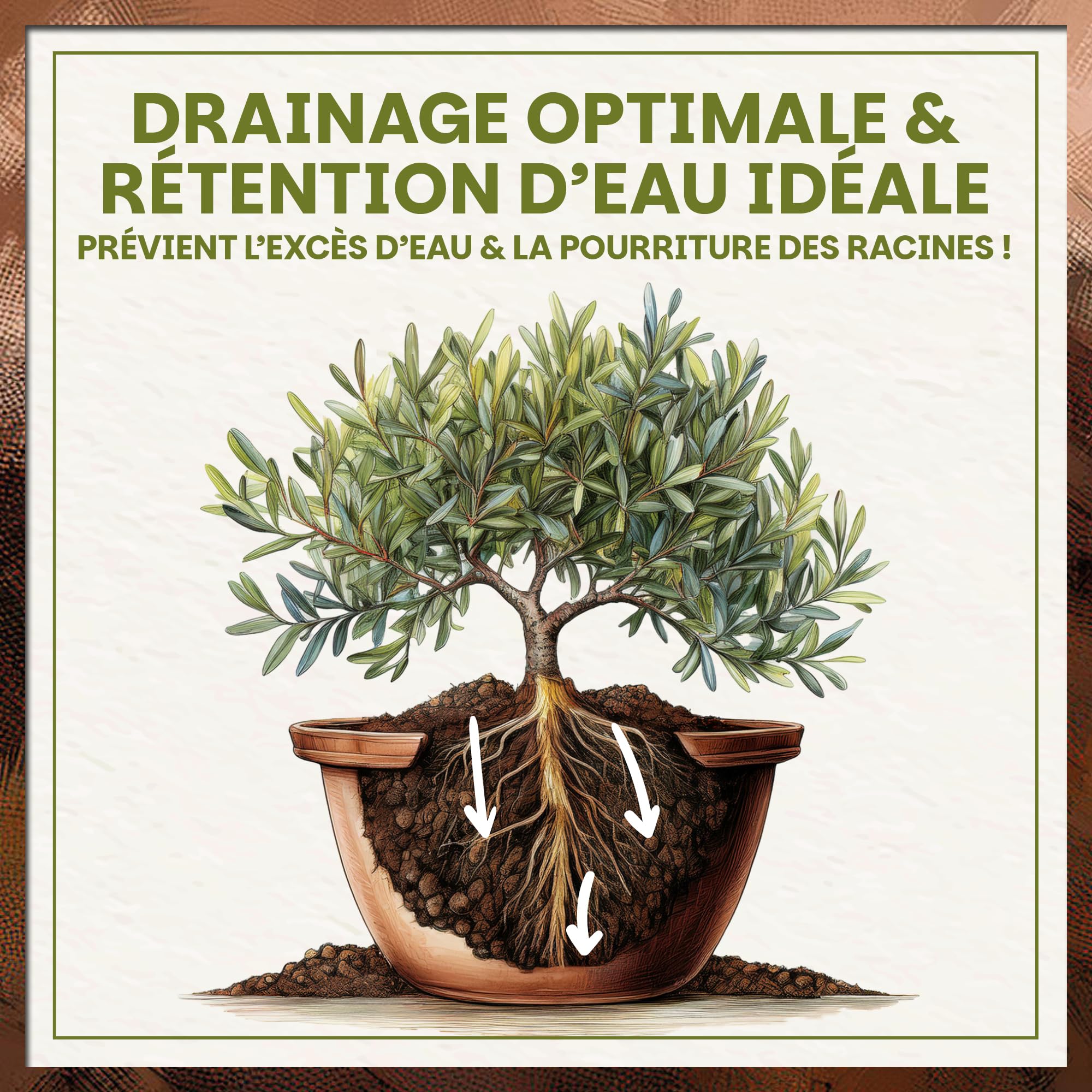 Green Home Terre pour Olivier & Laurier-Rose 36L – Terreau Premium pour Plantes Méditerranéennes | Engrais à Libération Lente | Perlite, Fibre de Coco & Humus | pour Pots, Bacs & Jardin, pH 5.9