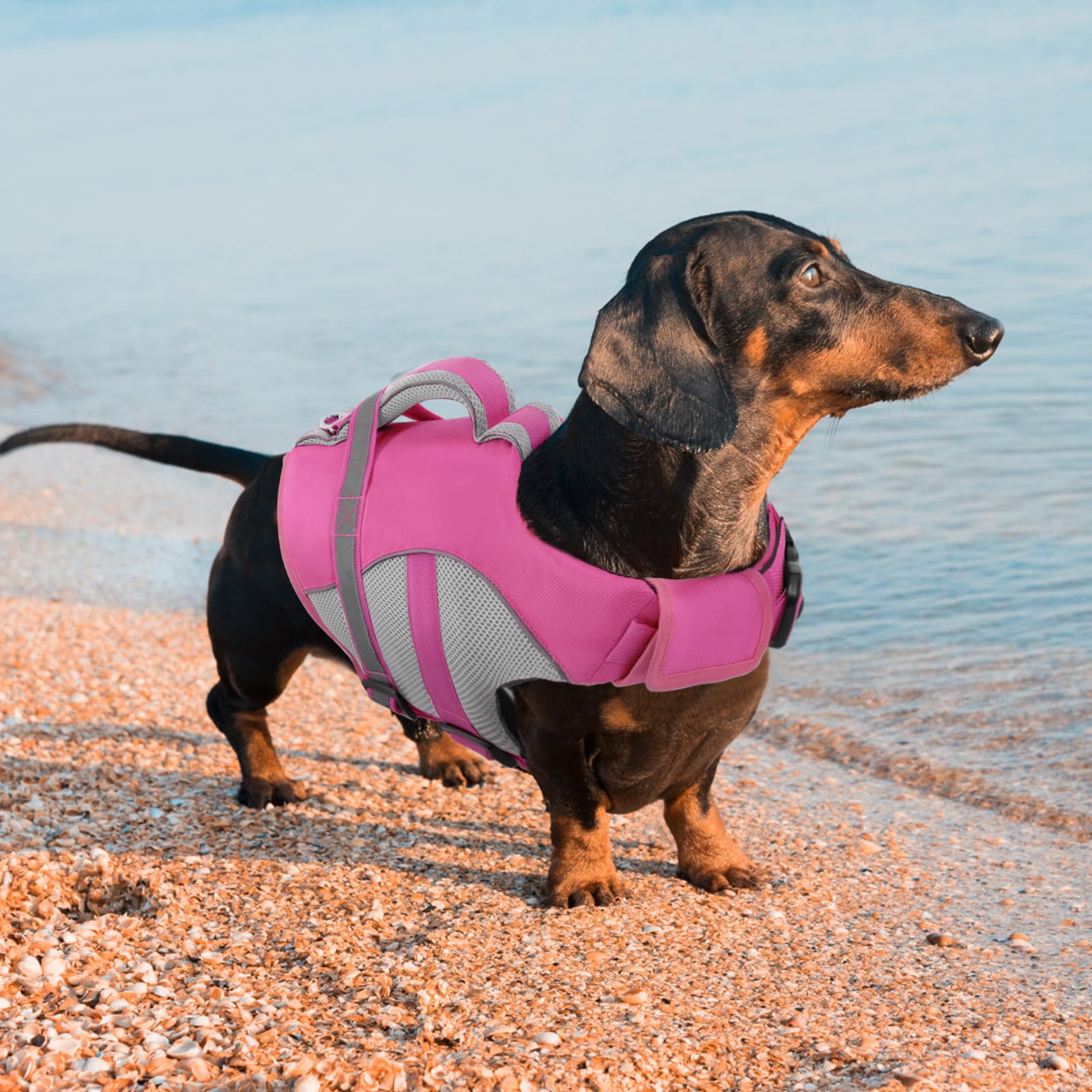 Queenmore Schwimmweste Hund Mittel Leichtes Gewicht Hunde Schwimmweste Mit Rettungsgriff Rettungswesten Für Hunde Für Dackel, Französische Bulldogge,Pug,Jack Russell,Greyhound,Schnauzer, Rosa, M
