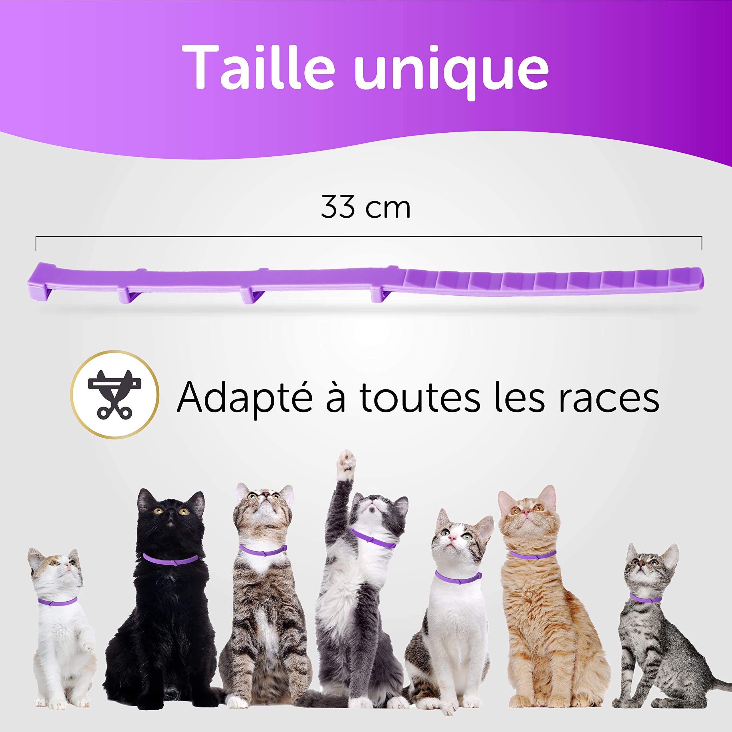 Collier Chat Ajustable - Traitement Anti-puces, Anti-Poux et Anti-tiques - Protection de Huit Mois - Imperméable - 33 cm - Violet - Toldi