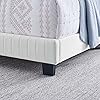 Product Photo 8