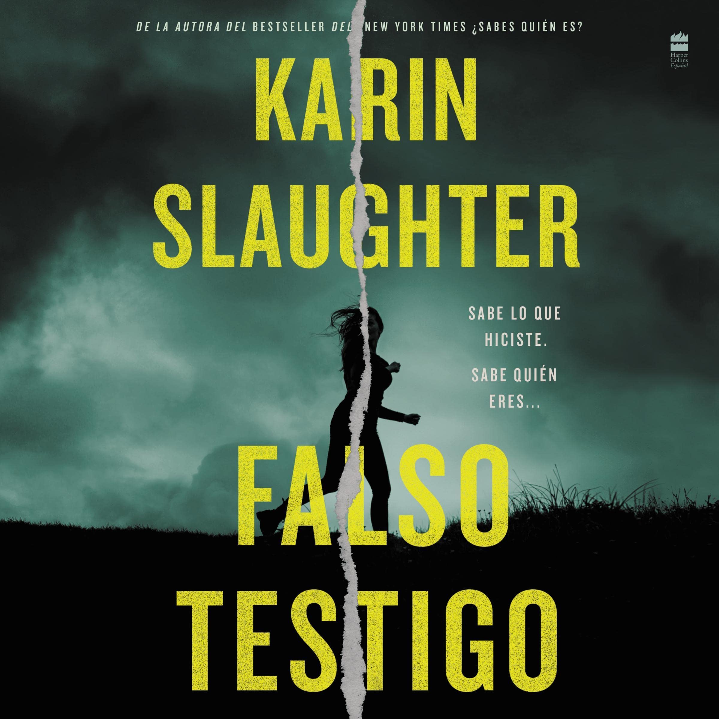 Cover art for False Witness \ Falso testigo