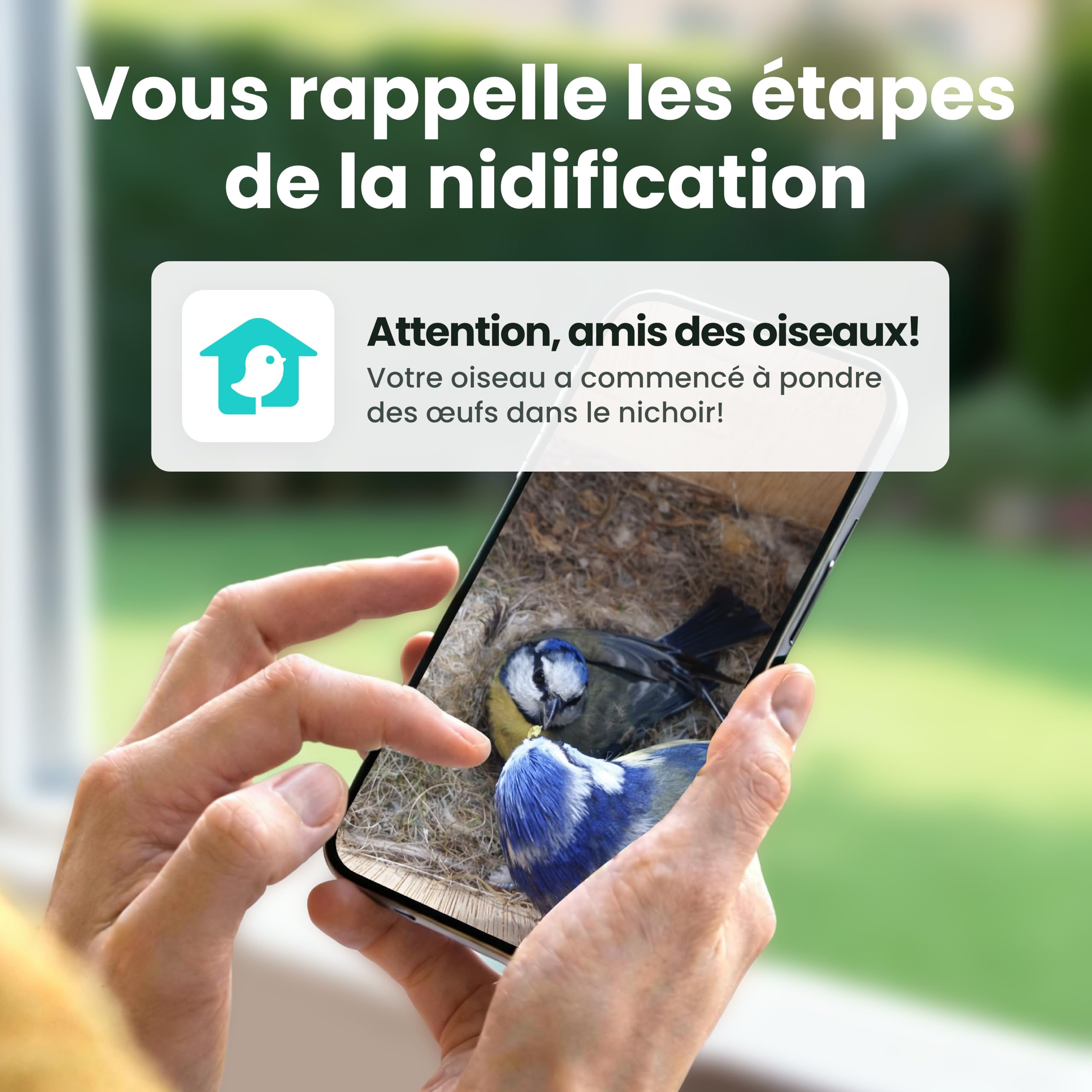 Birdfy Nichoir Oiseaux Exterieur, Camera Nichoir avec Panneau Solaire, 1080P HD Vidéo en Direct & Vision Nocturne pour Nidification 24/7, Détection Auto, Notification & Identification IA