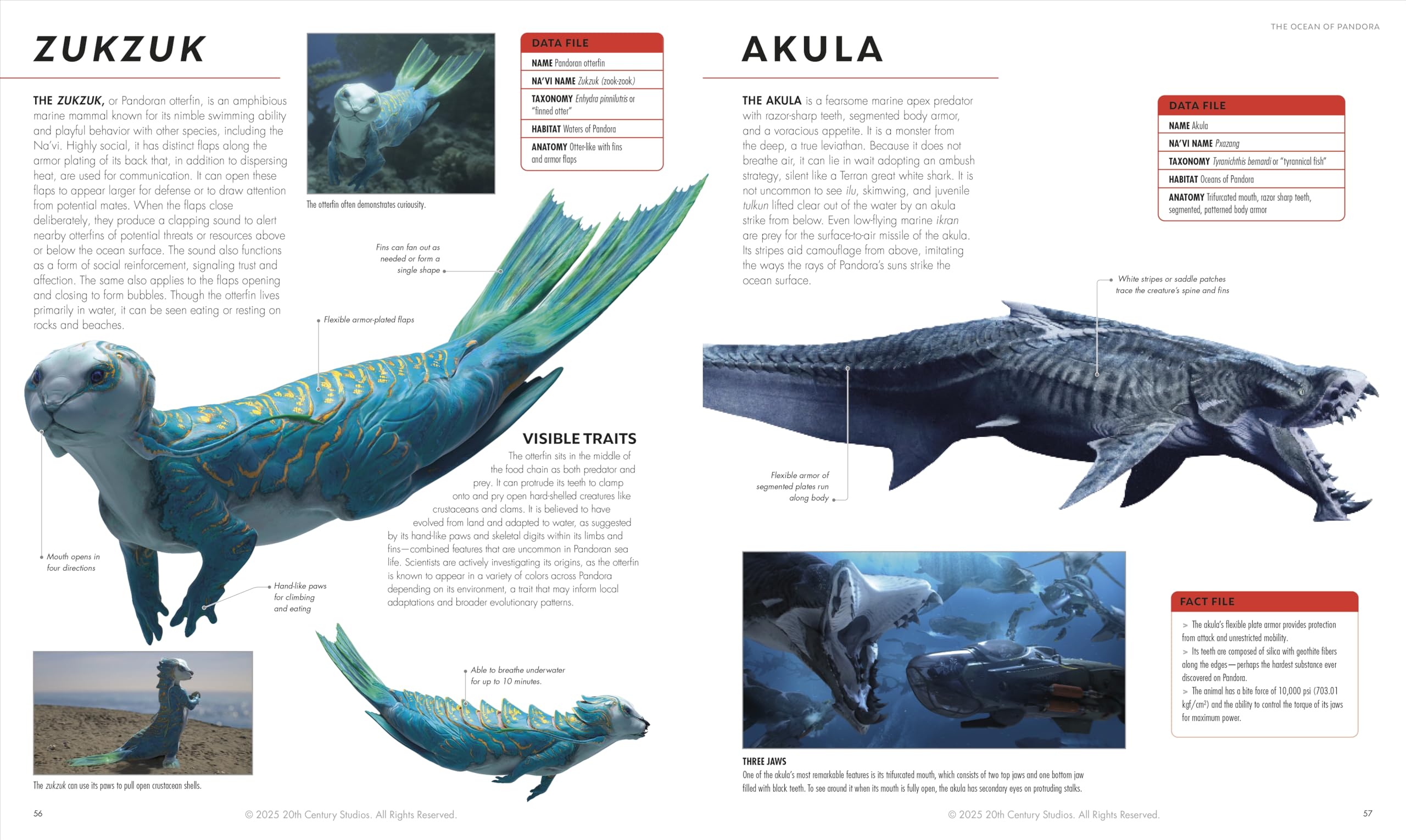 Avatar Fire and Ash The Visual Dictionary