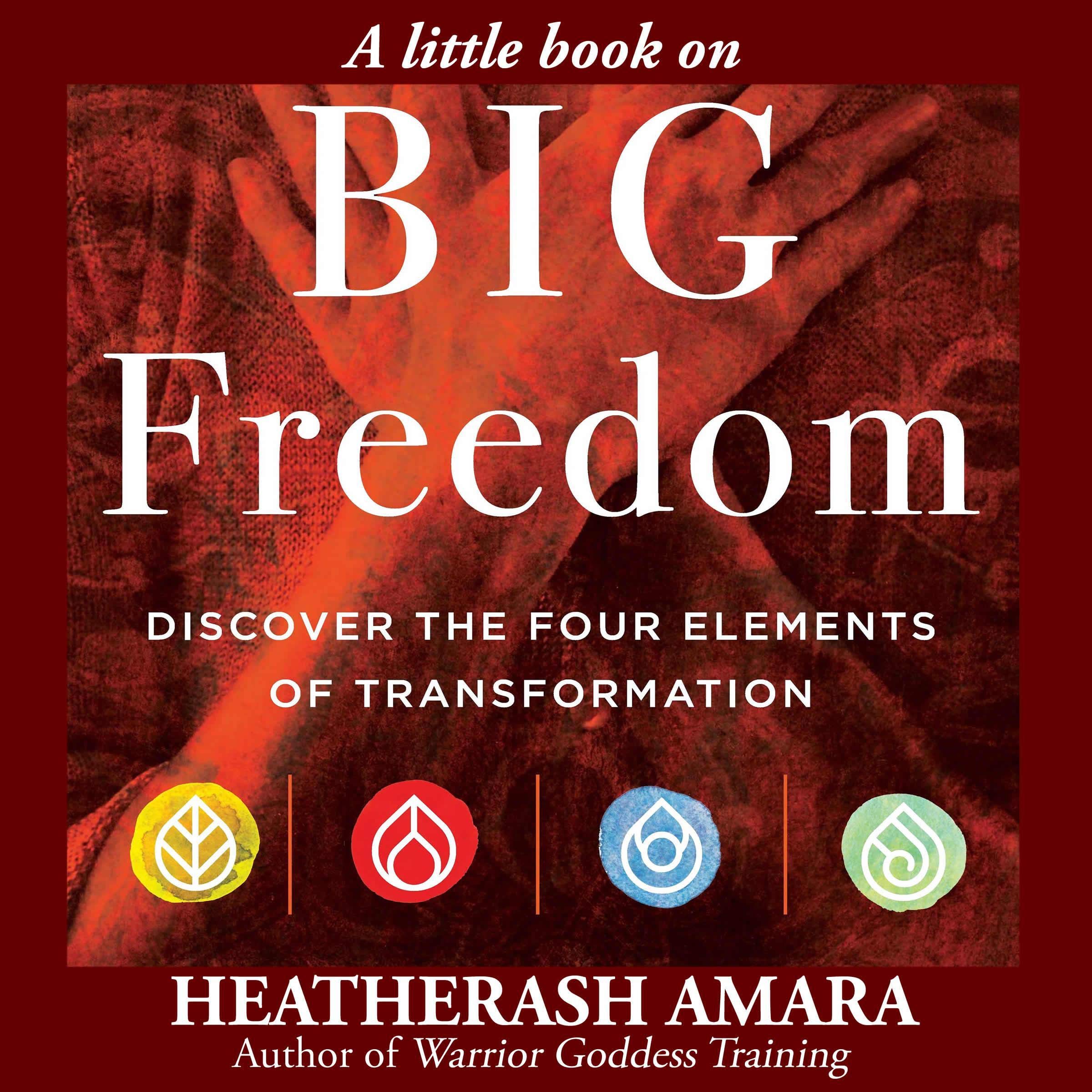 Cover art for A Little Book on Big Freedom