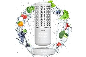 Fruit and Vegetable Purification Machine