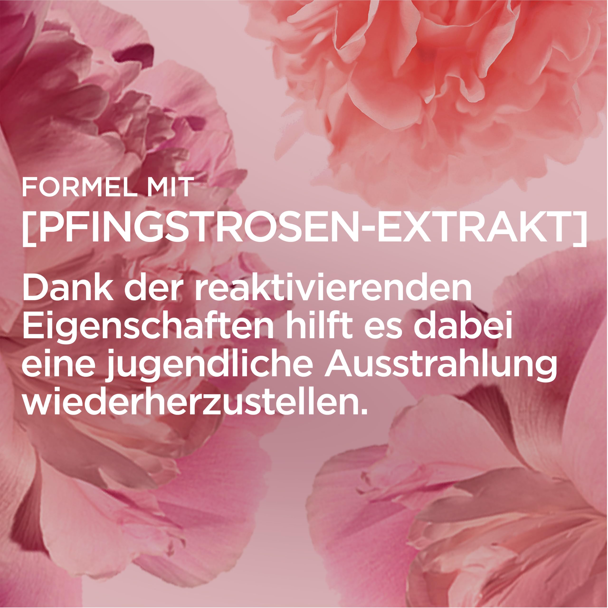 L'Oréal Paris Gesichtspflege Set, Age Perfect Golden Age, Anti-Aging Tagespflege und Nachtpflege, Festigung und Glanz, Für reife und fahle Haut, Mit Pfingstrosen-Extrakt, 2 x 50 ml