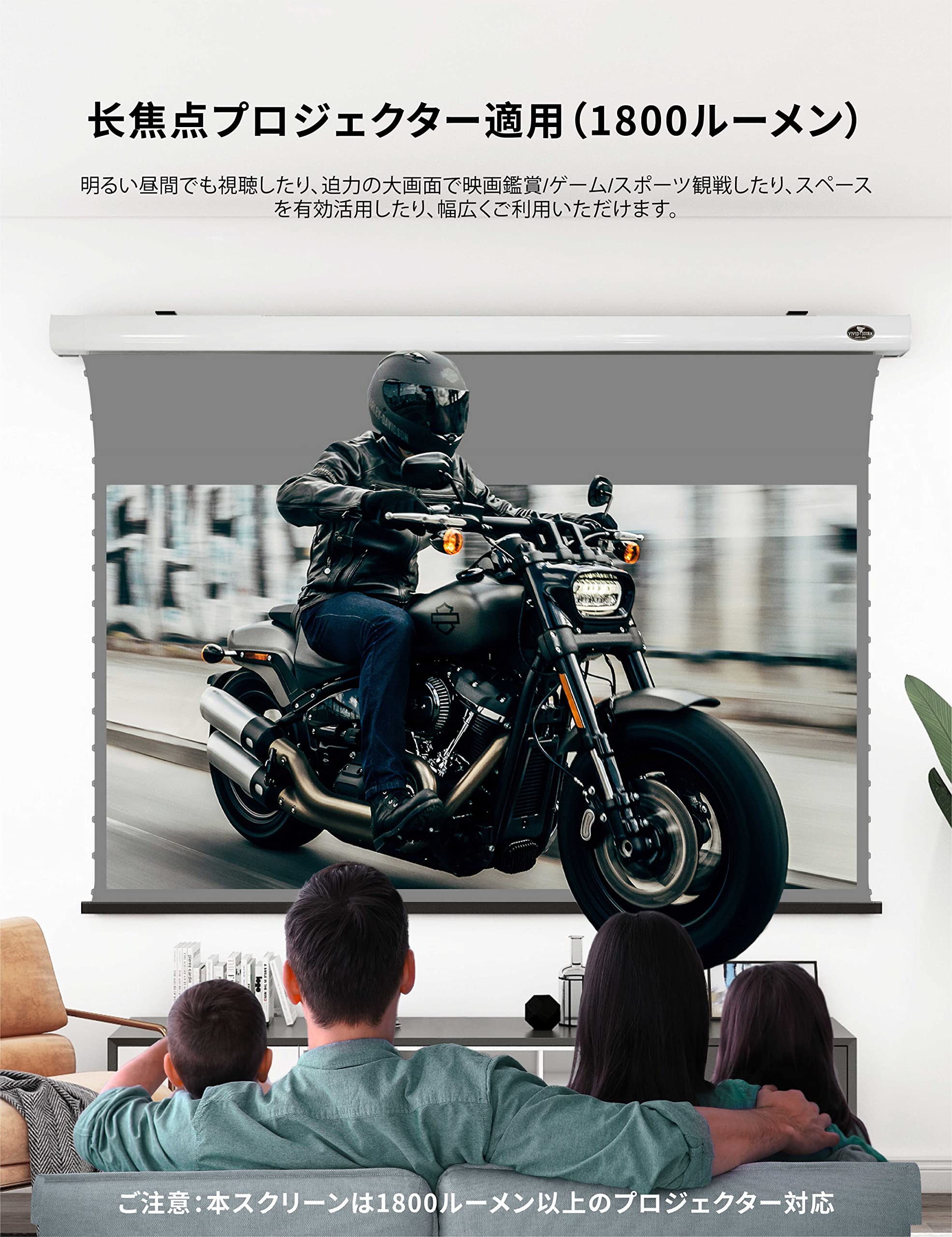 Vivid storm 120インチ　環境光弱化スクリーン　手渡し Vivid storm 120インチ 長焦点用環境光弱化スクリーン
